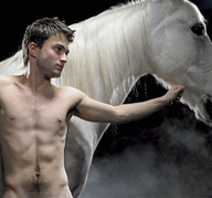 harry-potter-naked-horse.jpg