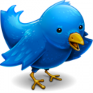 Twitter bird