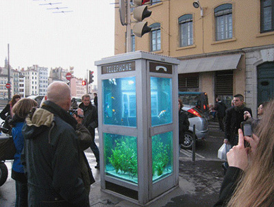 Phone-Box-Aquarium.jpg