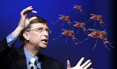 gates-mosquitos.jpg