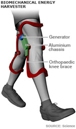 knee-generator.jpg