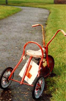 learner-driver-tricycle.jpg