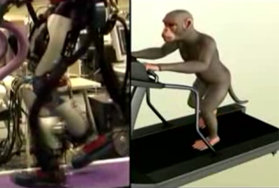 monkey-robot.jpg