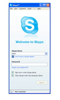 skype-screen.png